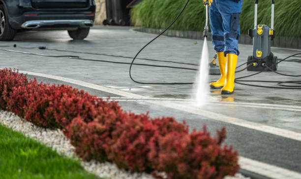 Best Roof Washing  in Pickens, MS
